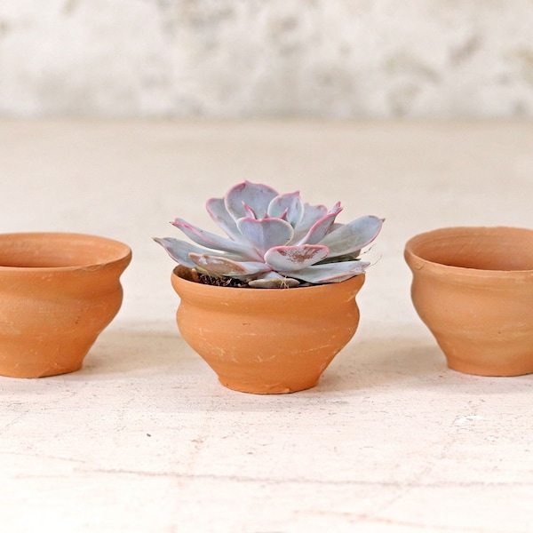 Set of Terracotta Tea Cups