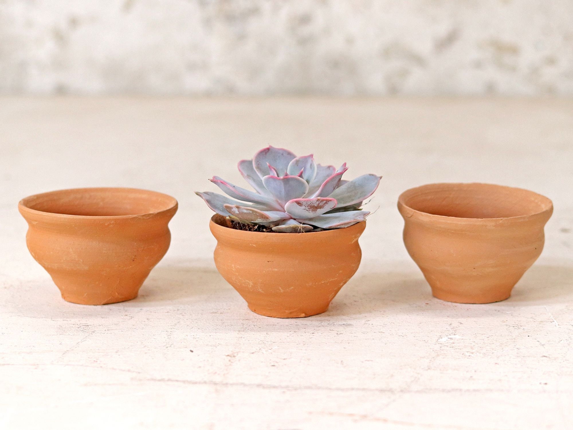 10 mini vasi in terracotta, in ceramica, per piante grasse, per l'asilo, ideali