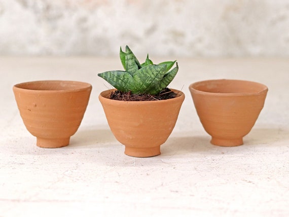 window plant stand indoor Corner Plant Stand – Green Thumb Haven main image 1