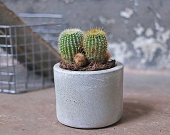 Mini Cement Planter