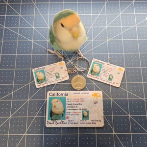 Pet Driver’s License Style ID Card