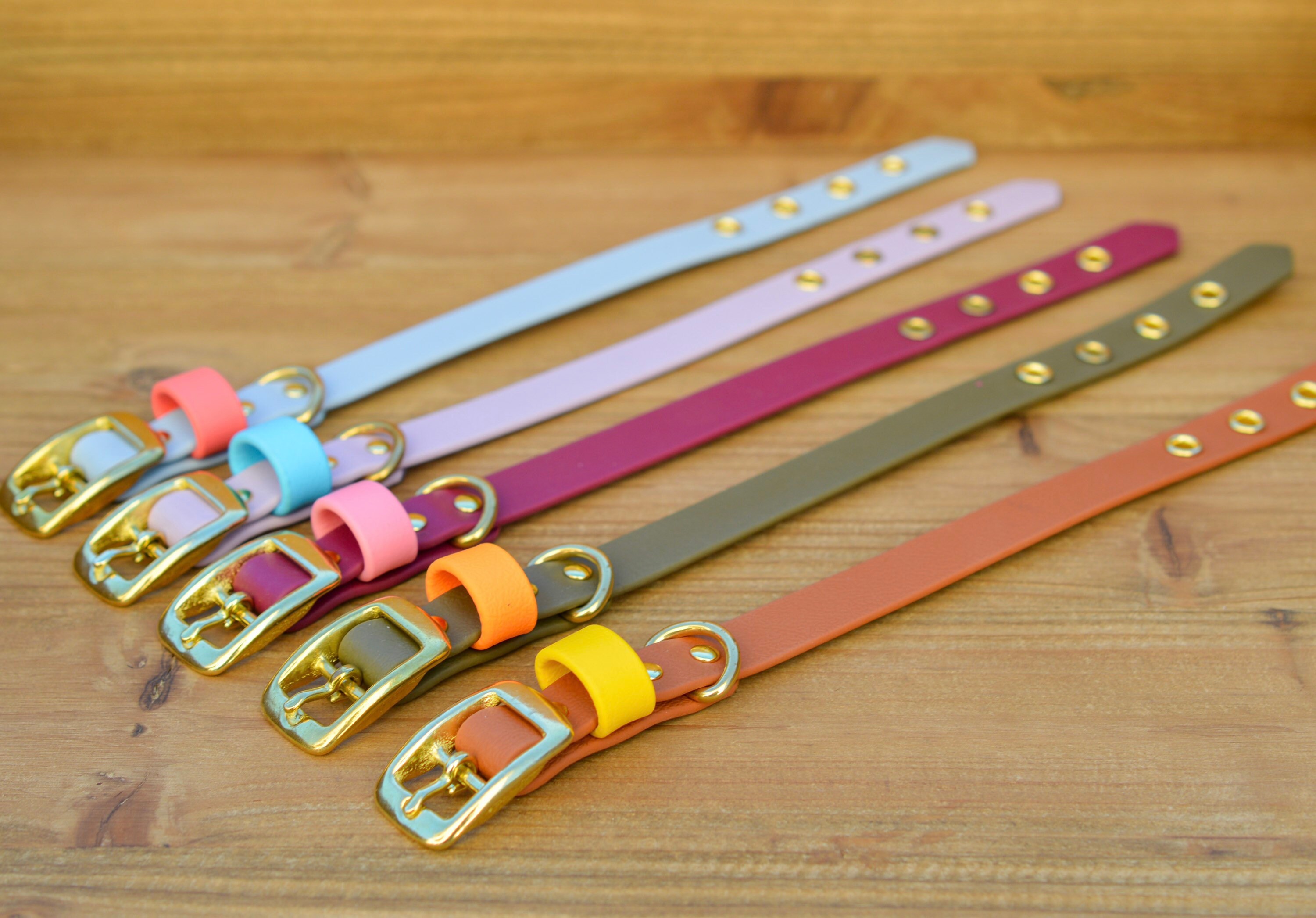 Collier Biothane Petit Chien