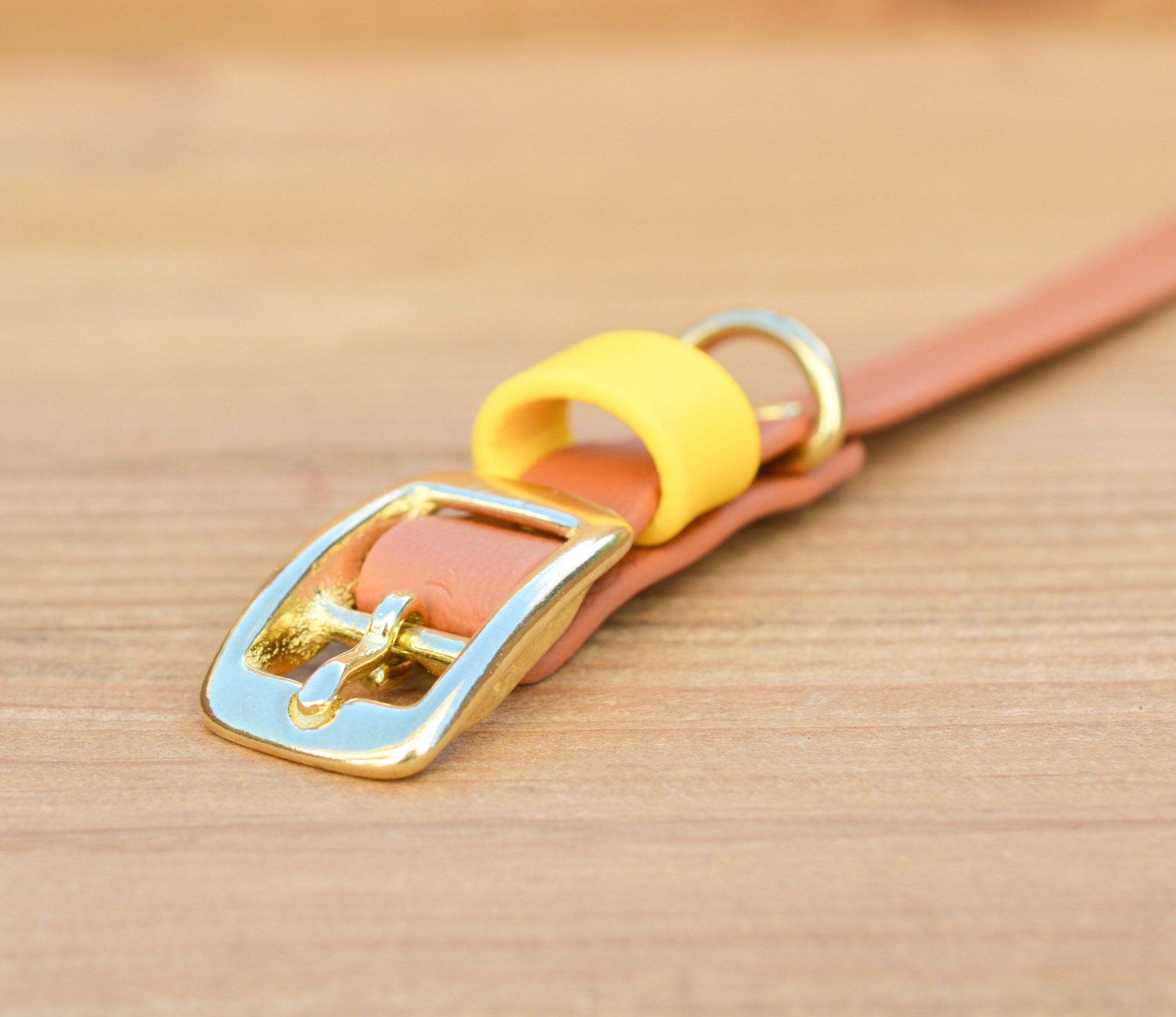 Collier Biothane Petit Chien