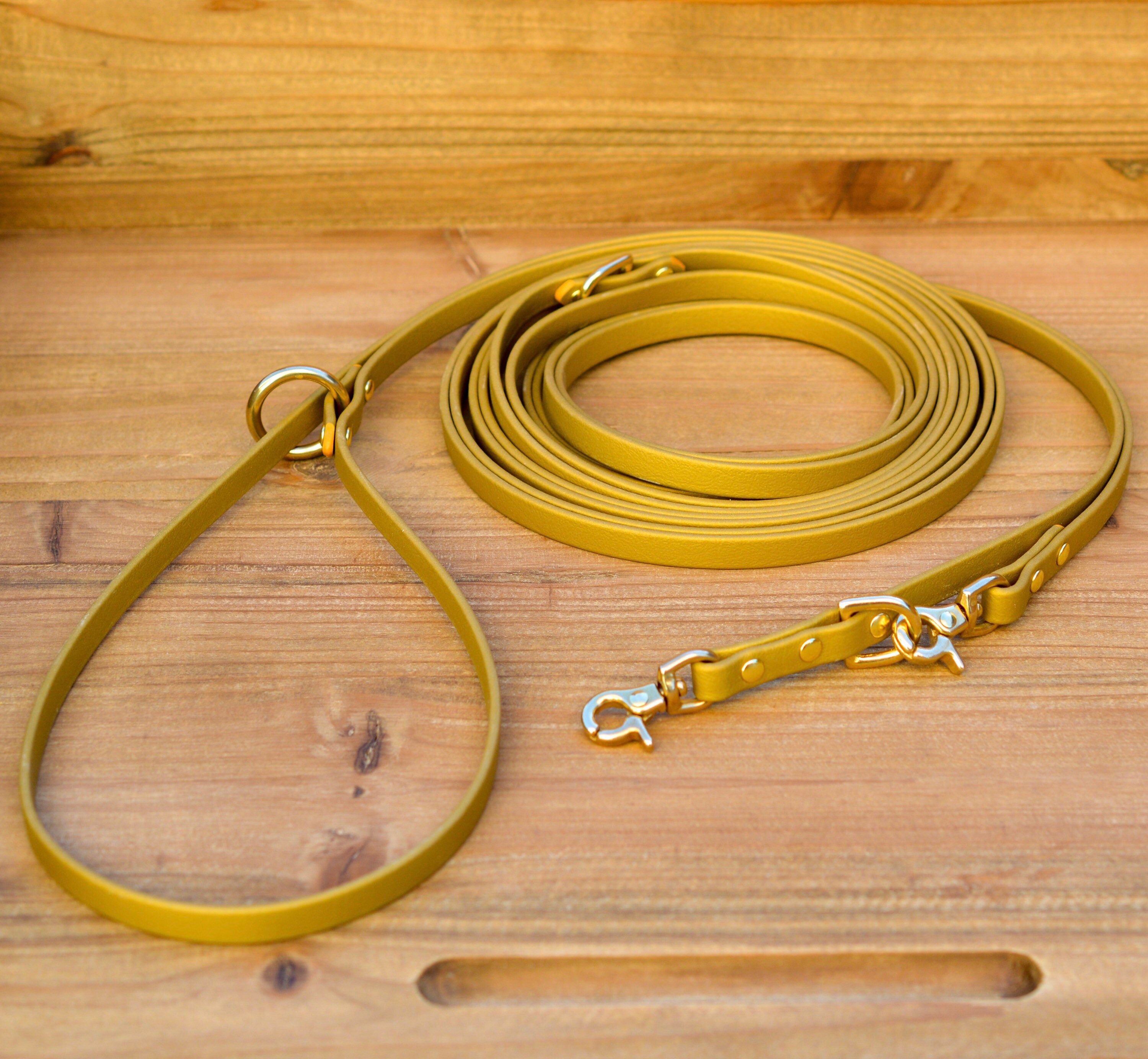 Laisse Multi Positions Biothane