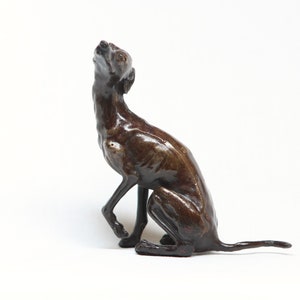 Whippet de bronce macizo que mira hacia arriba con Steve Boss en caja de regalo