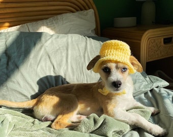 Pet Bucket Hat Crochet Pattern for Cats and Dogs