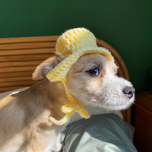 May include: A small, light brown dog wearing a yellow crocheted sun hat. The dog is sitting on a bed with a green and brown patterned blanket.