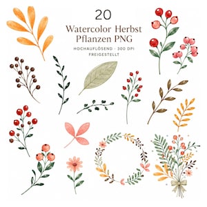 Könnte beinhalten: Eine Sammlung von 20 herbstlichen Pflanzenillustrationen in Aquarelloptik, bestehend aus verschiedenen Blättern, Beerenzweigen, einer kleinen Blume, einem runden Kranz und einem mit einer Schleife gebundenen Strauß. Text: 20 Watercolor Herbst Pflanzen PNG.