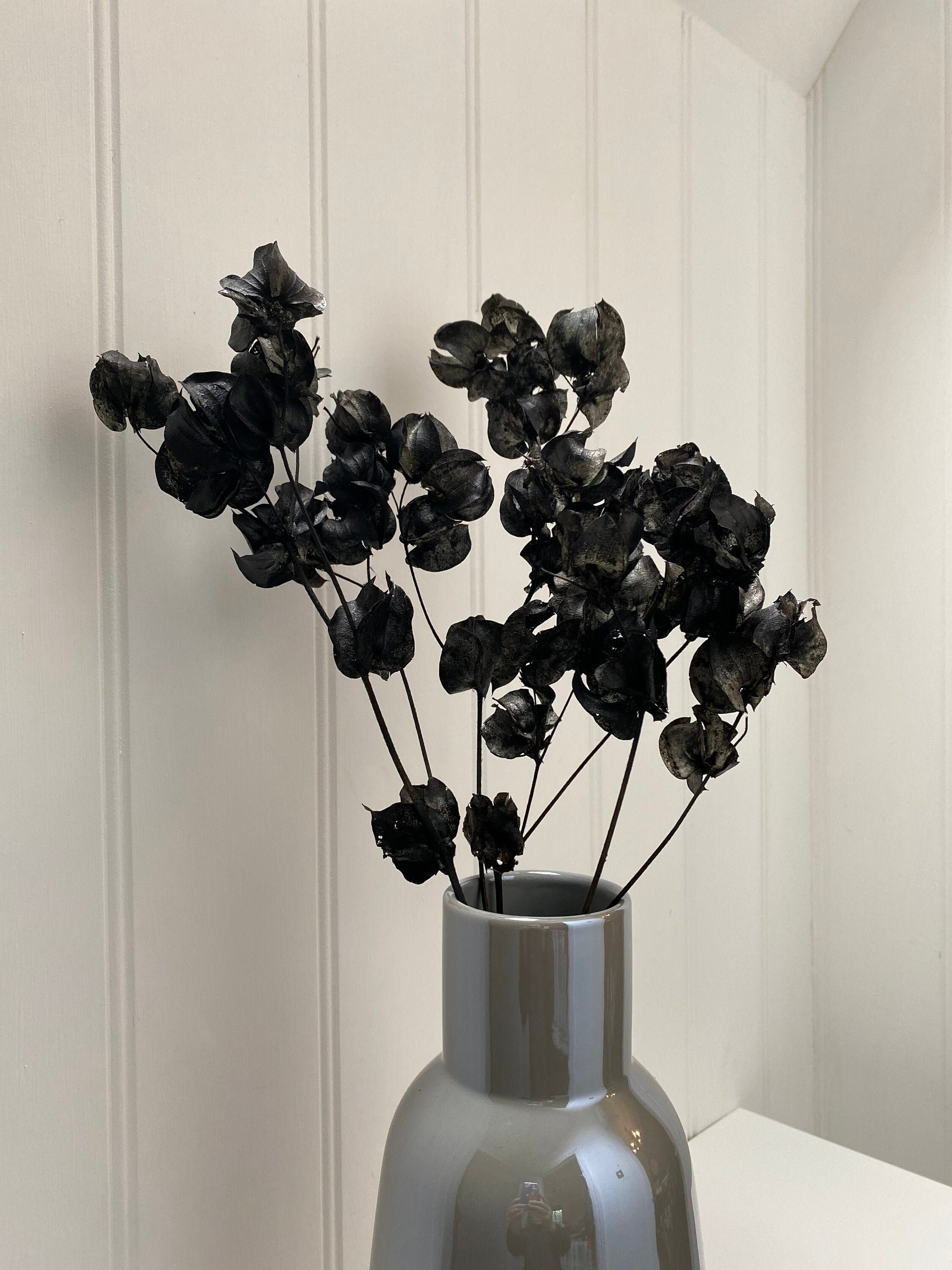 Dried Bougainvillea Stems Black Bougainvilla Black Dried Etsy
