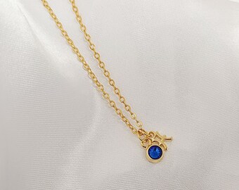 Zodiac Necklace, Birthstone Necklace, 12 Constellations Necklace, Star Sign Jewelry, Gift for Her, Birthday Gift