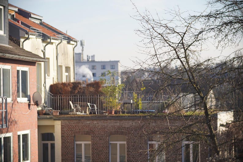 Puede incluir: Un edificio de ladrillo con una terraza en la azotea. La terraza tiene una barandilla de metal y dos sillas. Hay plantas creciendo en el techo y un &aacute;rbol en el fondo.