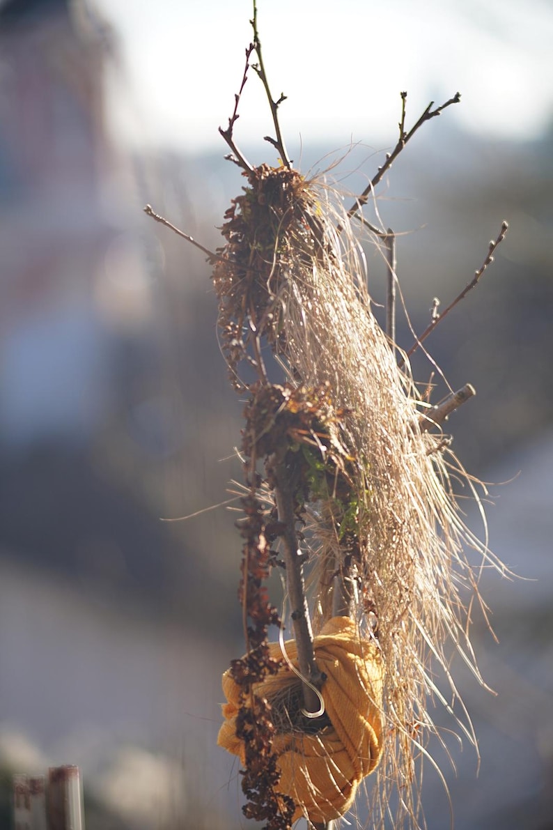 Puede incluir: Un primer plano de un nido de p&aacute;jaro hecho de ramitas y hierbas secas, con una tela amarilla envuelta alrededor. El nido est&aacute; unido a una rama de un &aacute;rbol.