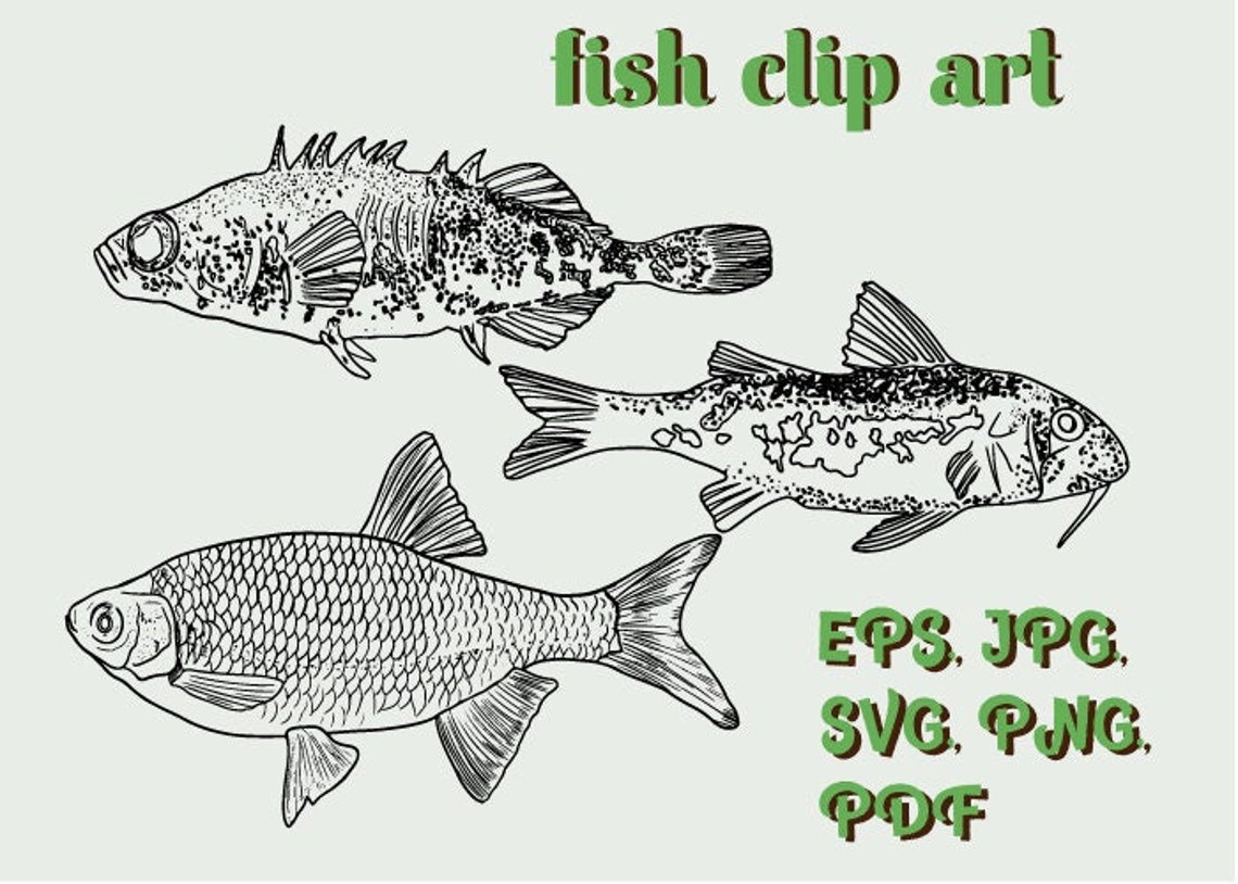 Fish Clipart SVG. Fish PNG Fish Art Fishing SVG Fishing - Etsy