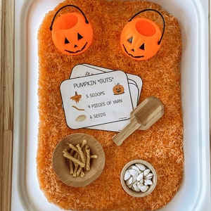 Pumpkin Halloween Sensory Bin Cards for Toddlers, Fall, Autumn, Activity