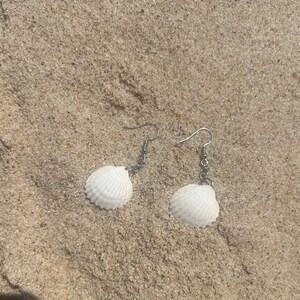 shell earrings