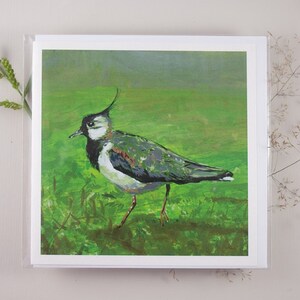 Lapwing - Greeting card - Art Card -  5x5 inch or 12x12cm - Shorebirds - Wader