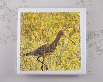 Godwit - Greeting card - Art Card -  5x5 inch or 12x12cm - Shorebirds - Wader
