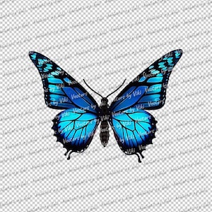 May include: A blue and black butterfly with intricate wing patterns. The butterfly is in flight with its wings spread wide.
