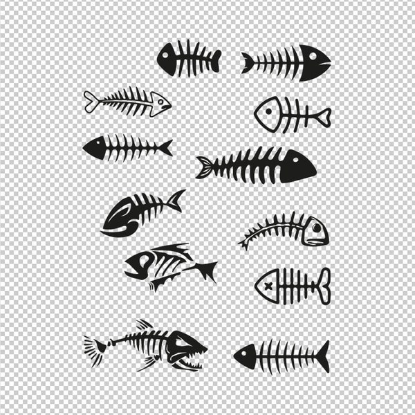 Fish Bones Fish Skeleton Bundle Collection SVG, PNG, EPS - File For Cricut, Silhouette, Cut Files, Vector, Digital File