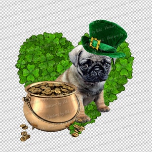 May include: A brown pug puppy wearing a green leprechaun hat sits in front of a heart-shaped arrangement of green shamrocks. A pot of gold coins sits in front of the puppy.
