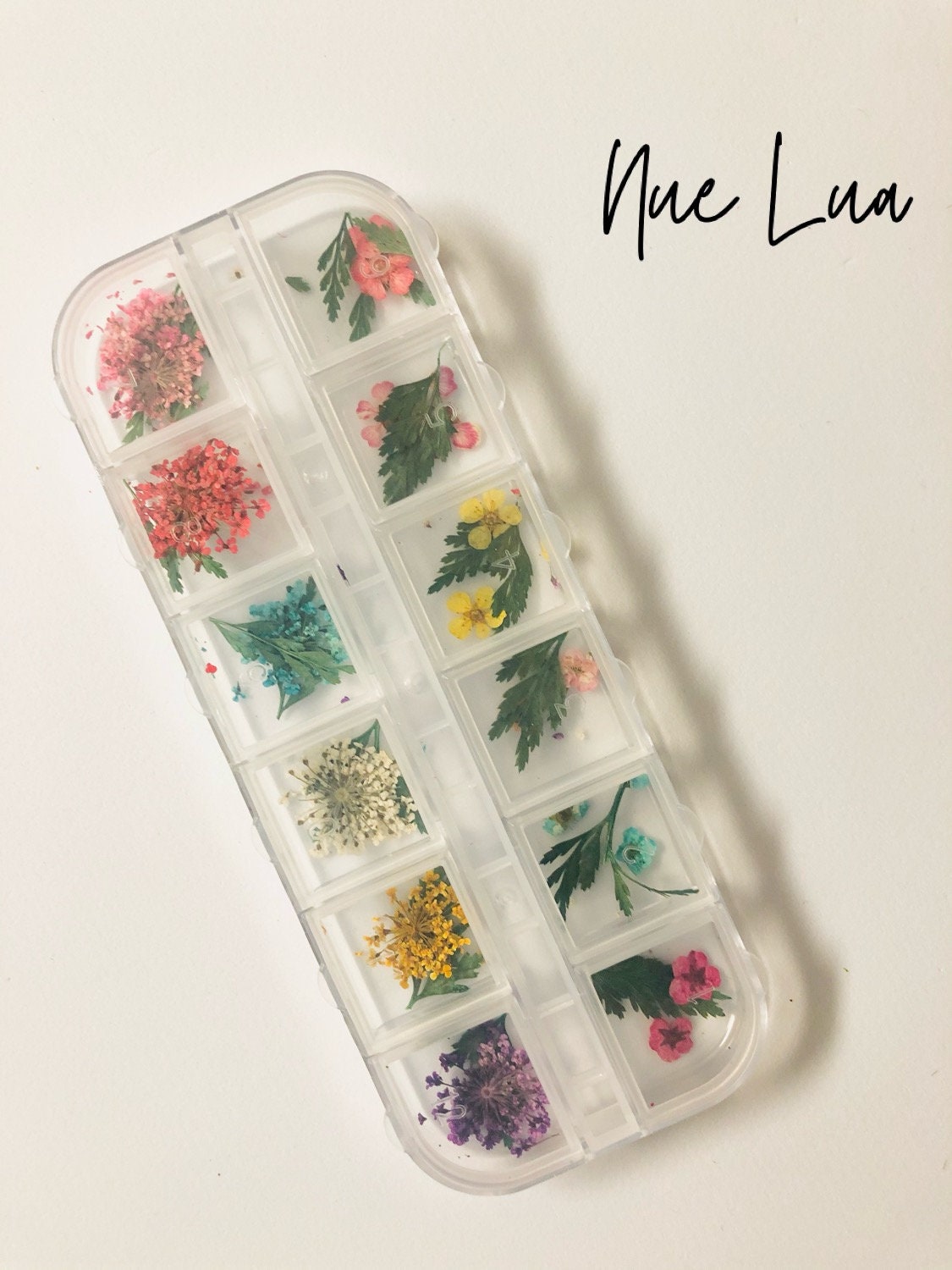 Dried Flowers for Nail Art, Design & Crafting Etsy UK