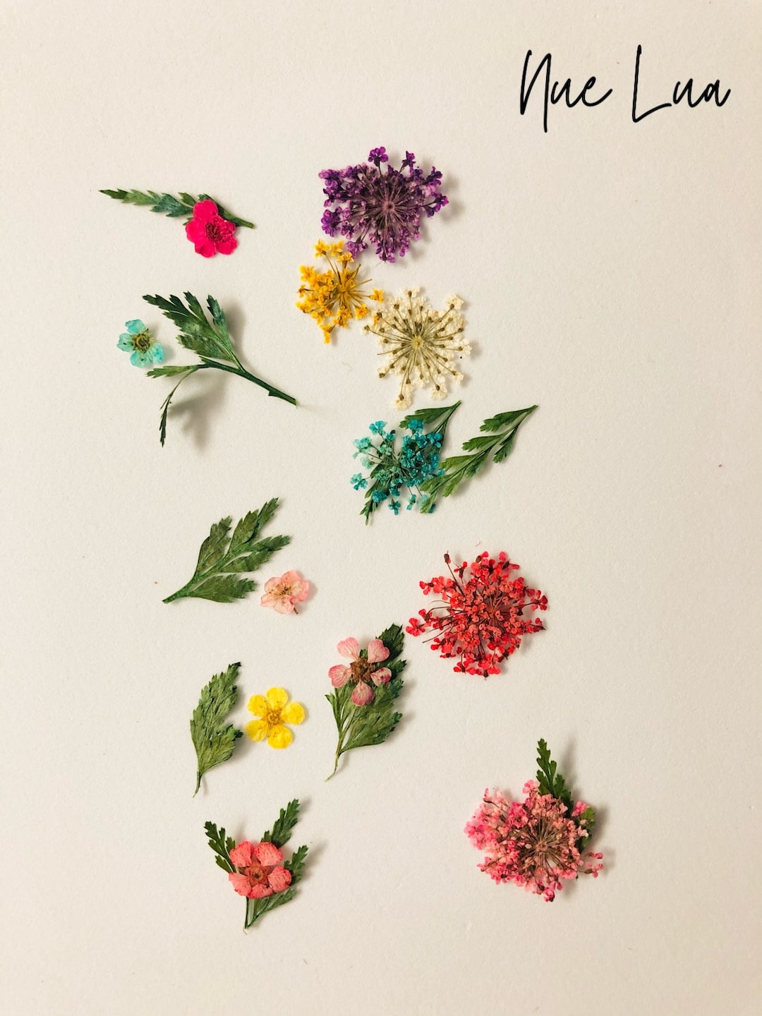 Dried Flowers for Nail Art, Design & Crafting Etsy UK