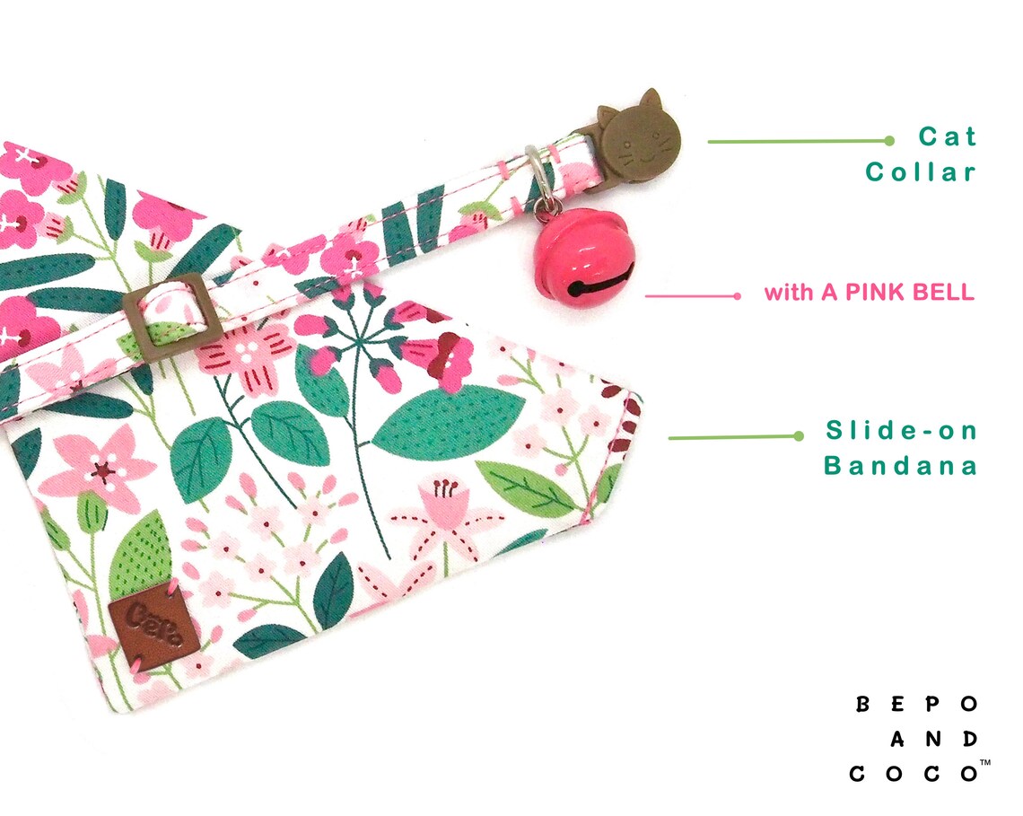 collar bandana gato