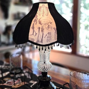 May include: A table lamp with a black fabric shade featuring a cream-colored panel printed with anatomical skeleton illustrations. The lamp has a clear, diamond-patterned glass base and a black pedestal, finished with black fringe trim along the bottom.