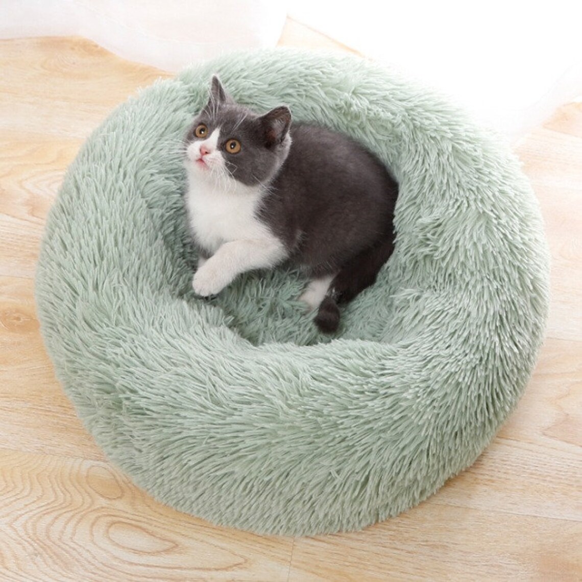 SwizzPets™ Coloured Minimalistic Fluffy Marshmallow Dog Bed Etsy