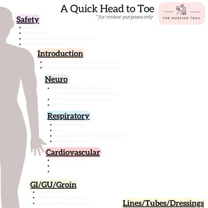 May include: A diagram of a human body with a checklist of items to assess during a head-to-toe assessment. The checklist includes safety, introduction, neuro, respiratory, cardiovascular, GI/GU/Groin, vital signs/pain, lines/tubes/dressings, and before leaving. The diagram is titled "A Quick Head to Toe" and is labeled "The Nursing Trail".