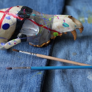 Abstract painted Coyote Skull Bone