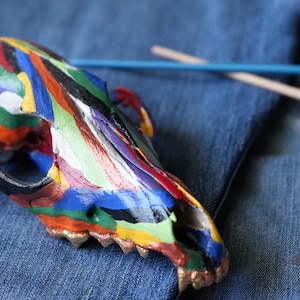 Colorful Coyote Skull Bone