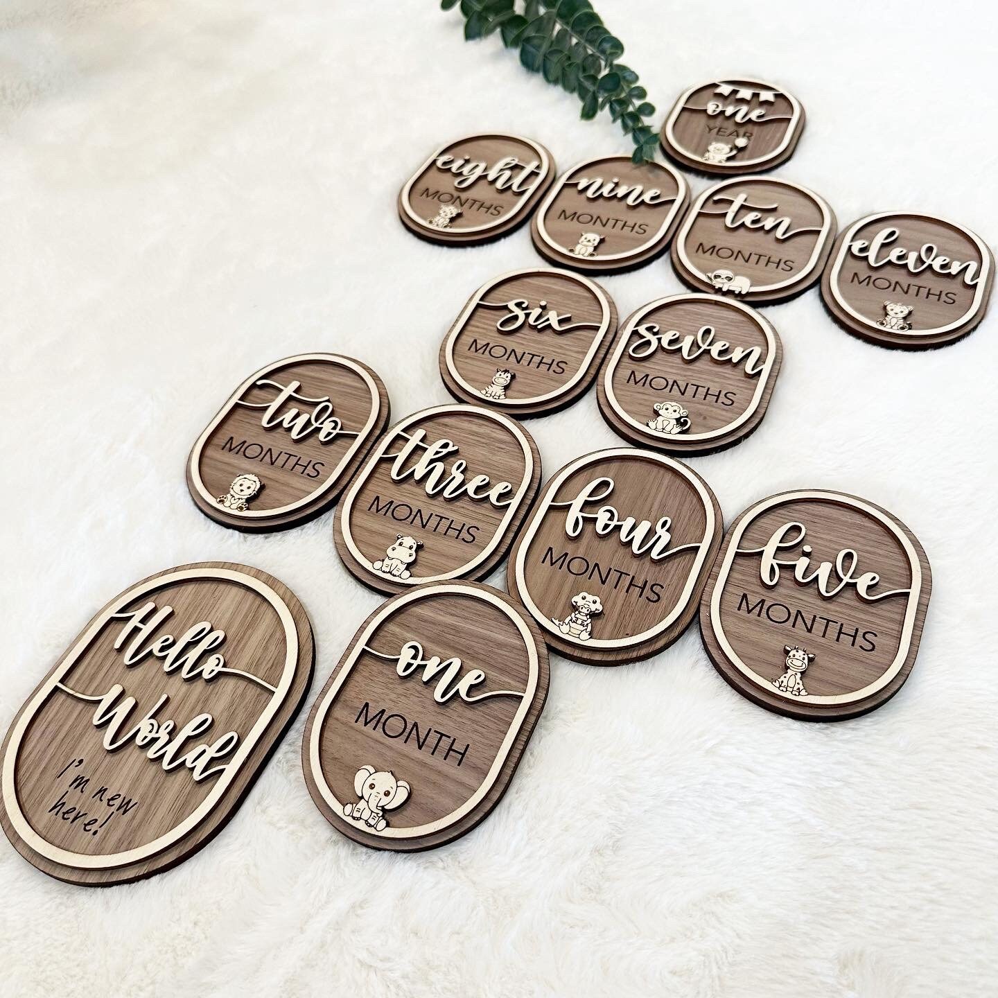 Baby Monthly Milestone Discs Layered Wood Safari Theme Baby Photo Props ...