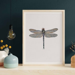 Dragonfly Print, Insect Poster, Dragonfly Art, Colored Dragonfly Illustration, Animal Wall Art, Nature Printable Art Digital Download