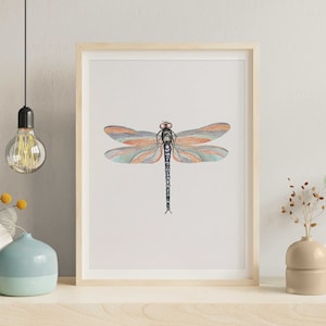 Colorful Dragonfly Print, Insect Poster, Dragonfly Art Colored Dragonfly Illustrationi Animal Wall Art Nature Printable Art Digital Download