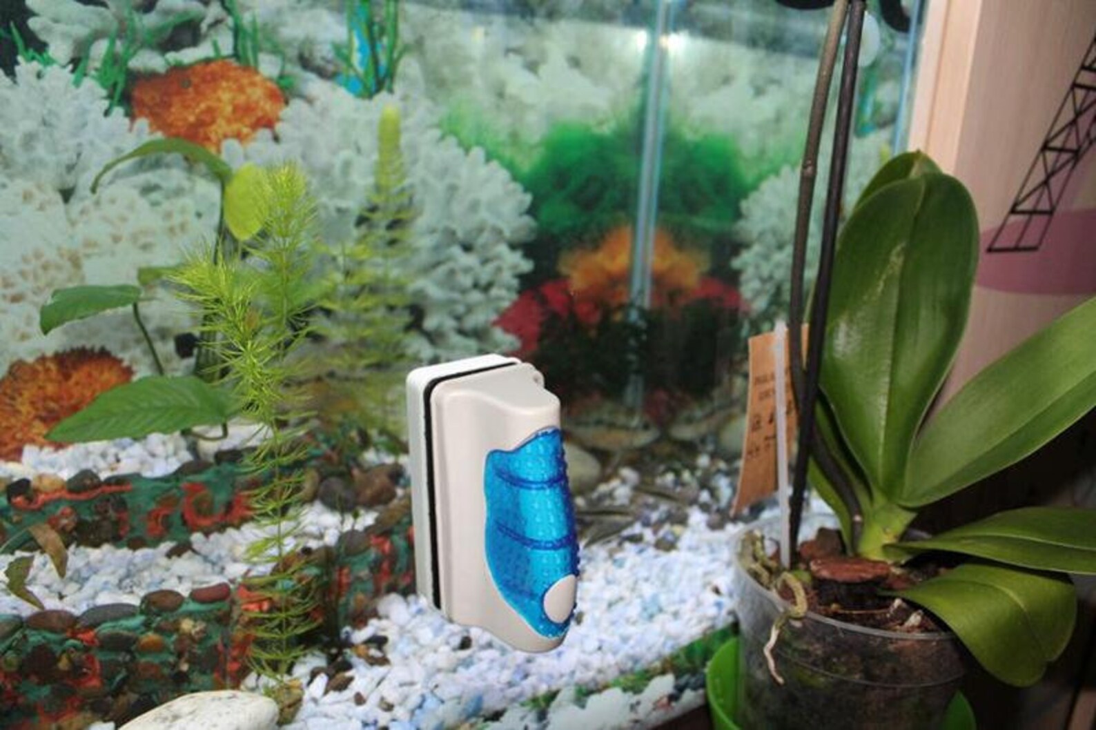 2017 New Aquarium Fish Tank Glass Algae Scraper Etsy