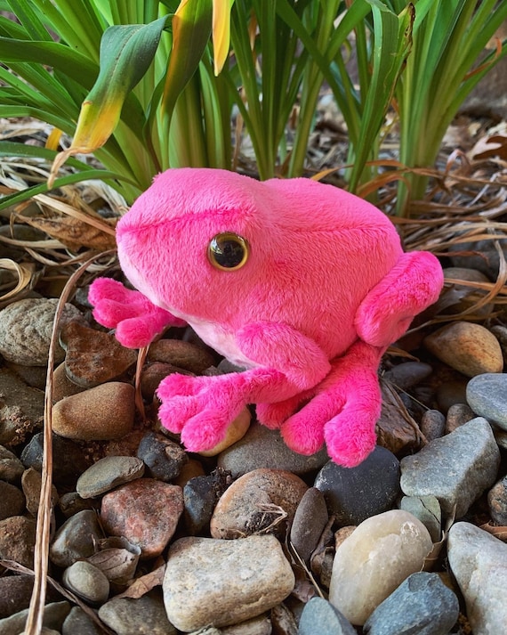 Pink Frog Plush Handmade Sewn Frog Stuffed Animal Bright Pink Plush 