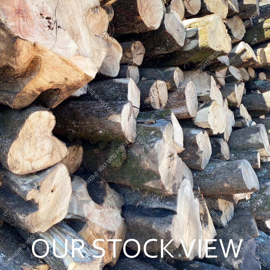 Olive Wood Planks Olive Wood Blanks Dry Olive Wood Elements Etsy