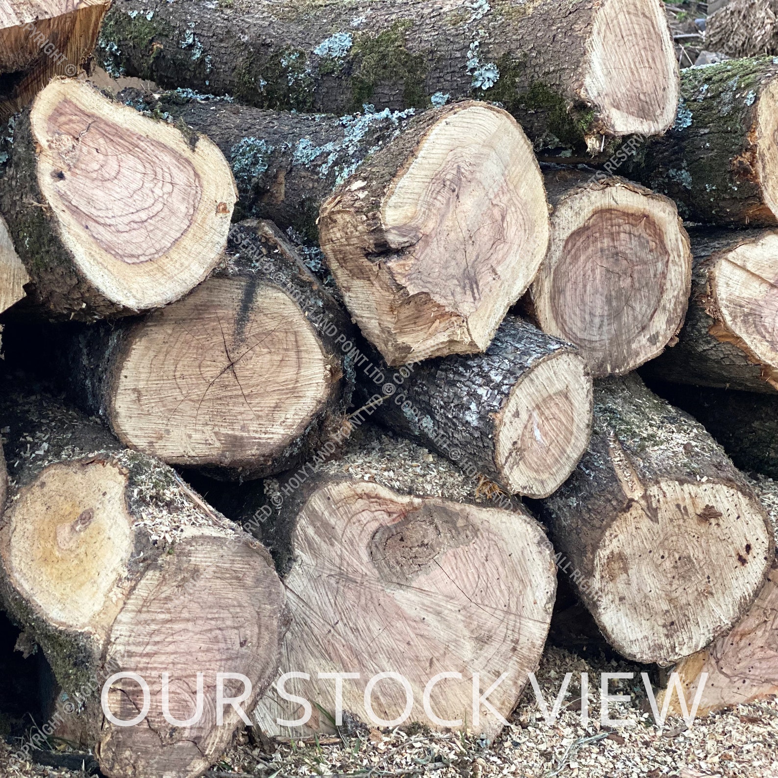 Olive Wood Planks Olive Wood Blanks Dry Olive Wood Elements Etsy