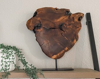 Handmade Wood Irregular Date Tree Sculpture | Teak Wood Decoration | Sculpture Unique Art | Center Piece Nature | Natural Art Abstract