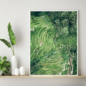 Bali Jungle Poster, Tegalalang Rice Terrace Poster, Rice Terrace Print, Aerial Jungle Print, Wall Decor, Rice Field Print, Wall Art, Ubud