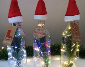 Flower &quot;Christmas Bottle&quot; //SAVE IN SET/ Light bottle//Christmas decoration//Dried flowers in glass//from 49-, free shipping