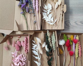 Boîte de fleurs séchées DIY | Mélange de fleurs séchées | Votre projet | Loisirs créatifs | Cadeau d'invité | Cadeau décoratif | Mini bouquet | Fête des Mères | Livraison gratuite