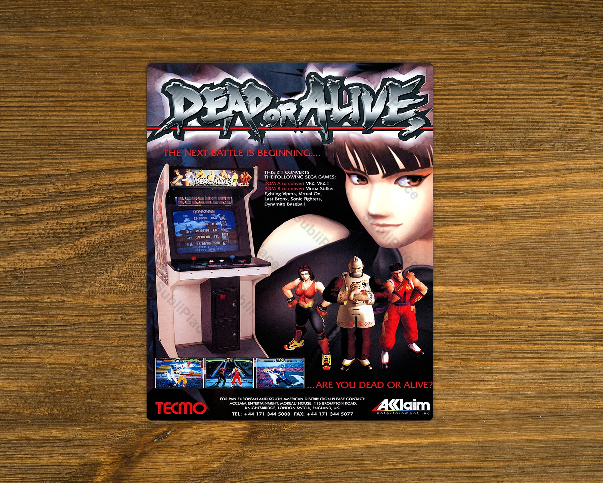 Dead or Alive Arcade Game Flyer Promo Art Image on a 8