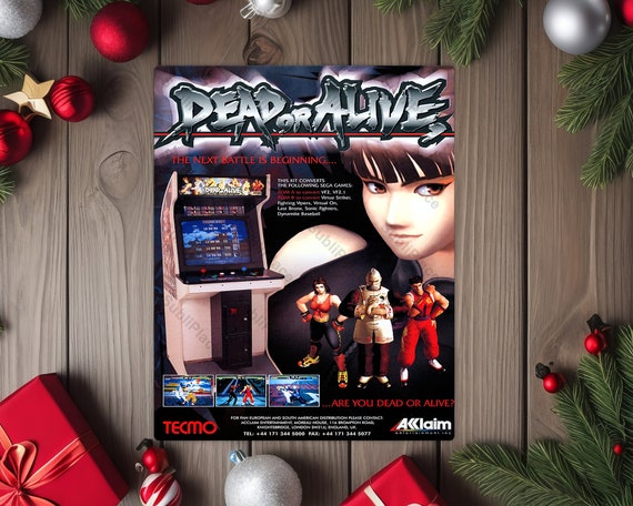 Dead or Alive Arcade Game Flyer Promo Art Image on a 8