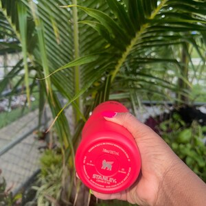 May include: A bright red Stanley brand tumbler with a 30oz capacity. The base of the tumbler features printed text including the brand logo, capacity, and manufacturing details. The tumbler is held in a hand with bright pink fingernail polish.