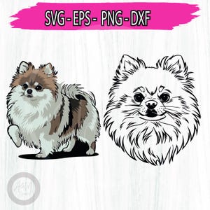 Pomeranian Spitz SVG Bundle png, Pomeranian Silhouette SVG Cut table Design, Dog clipart Svg, Digital download