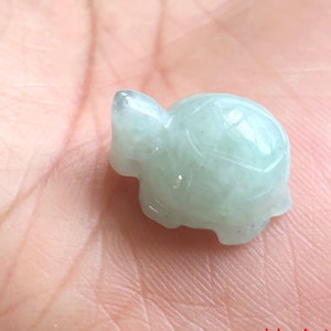 May include: A small, light green jade turtle figurine. The turtle is carved in a realistic style and has a smooth, polished finish.