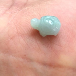 May include: A small, light green jade turtle figurine. The turtle is carved in detail and has a smooth, polished finish.