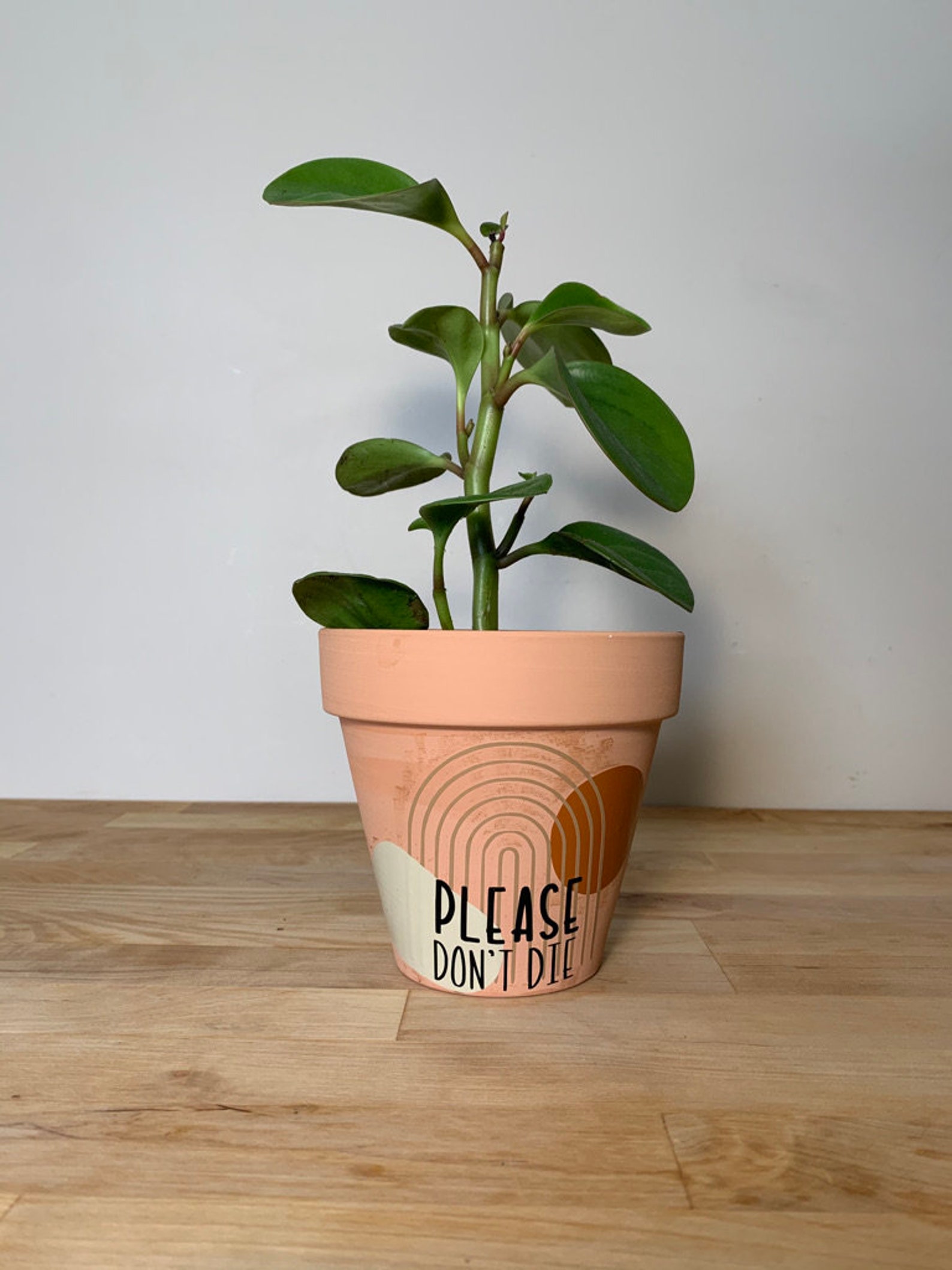 Terracotta pot decals Clay planter vinyls Planter pot decor Etsy